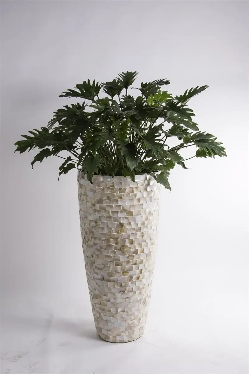 Schelpen Bloempot