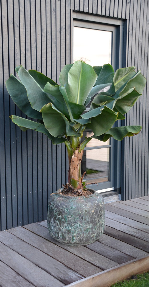 Pot Arenal M Ø59 x H50cm Relic Jade 2