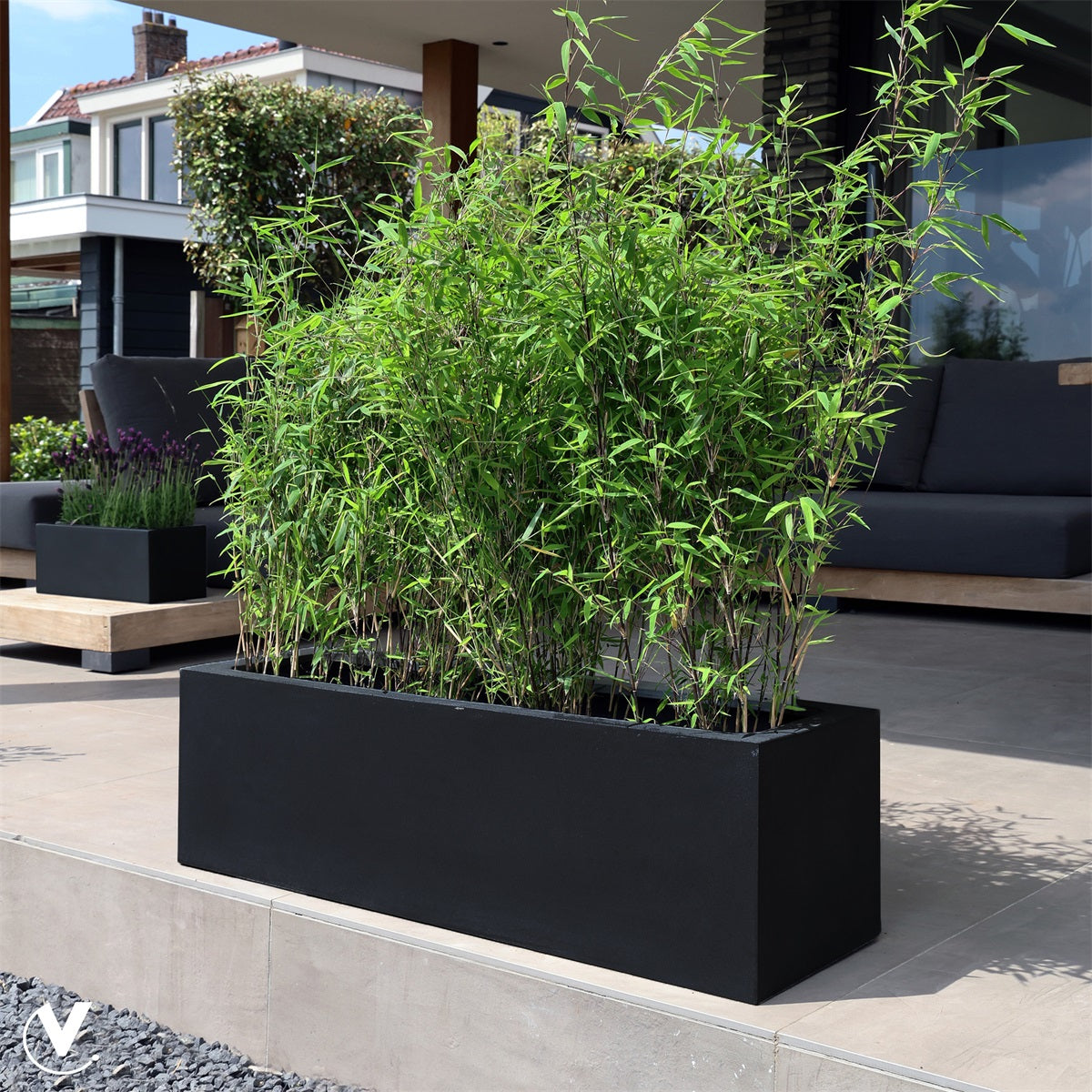 Pot Amazone L L100 x B30 x H30 cm Black 2