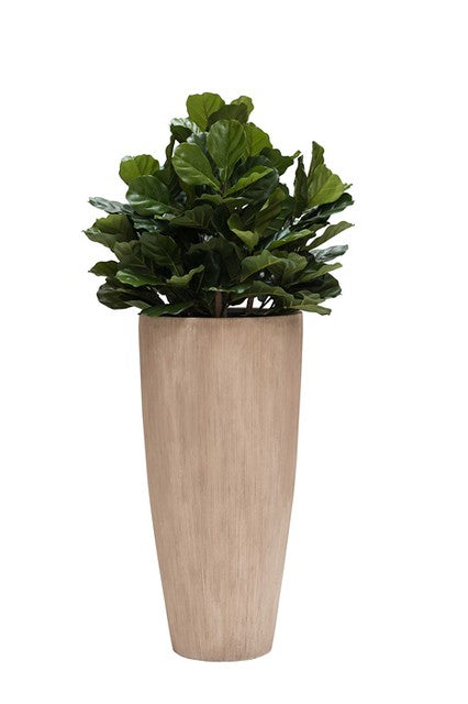 Blumentopf Java - Fiberstone