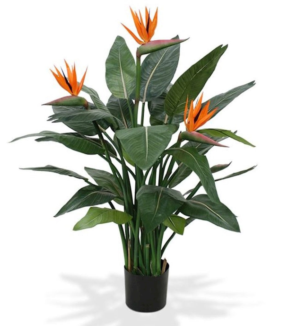 Kunstpflanze Strelitzia Deluxe grün H115 cm