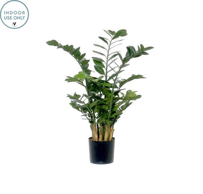 Plante artificielle Zamioculcas verte H100 cm