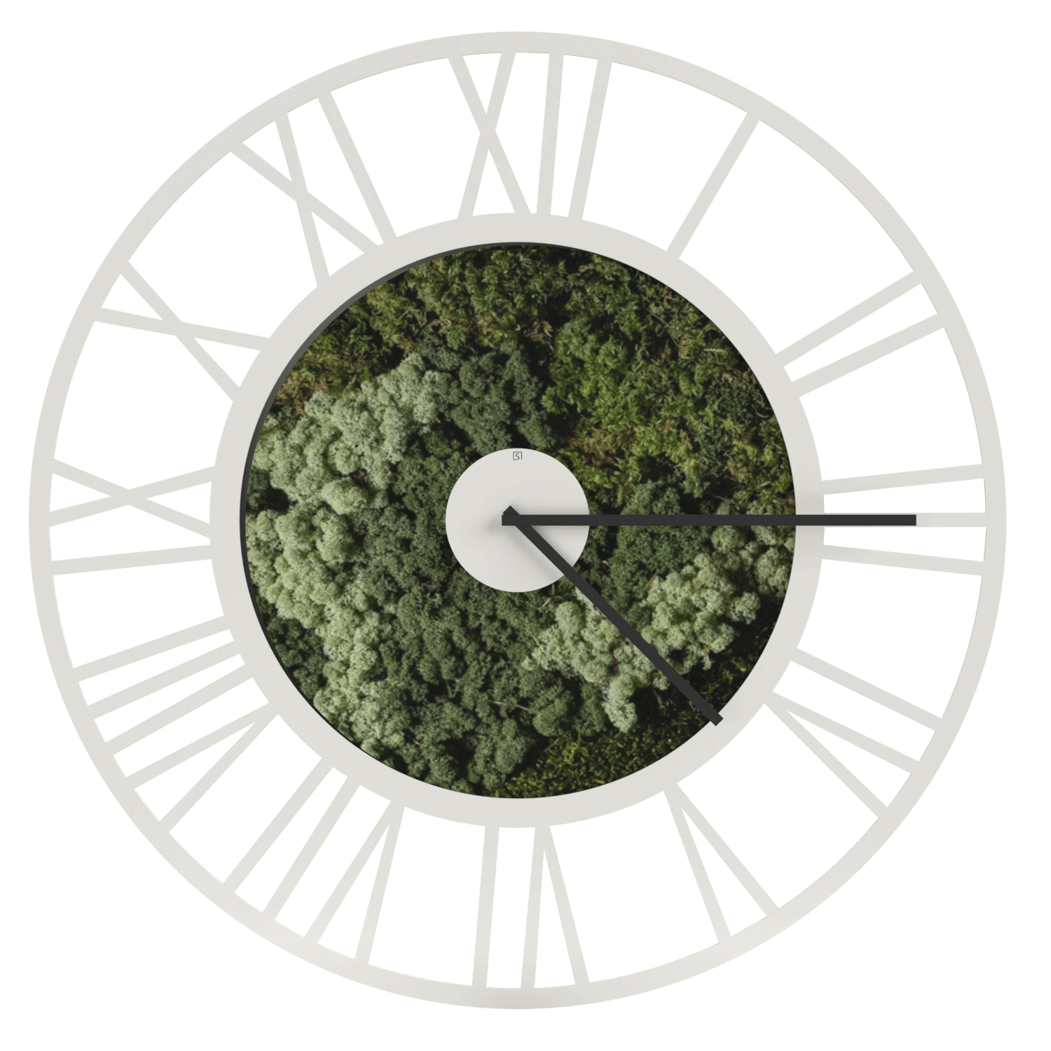 Mos Klok Large Wit