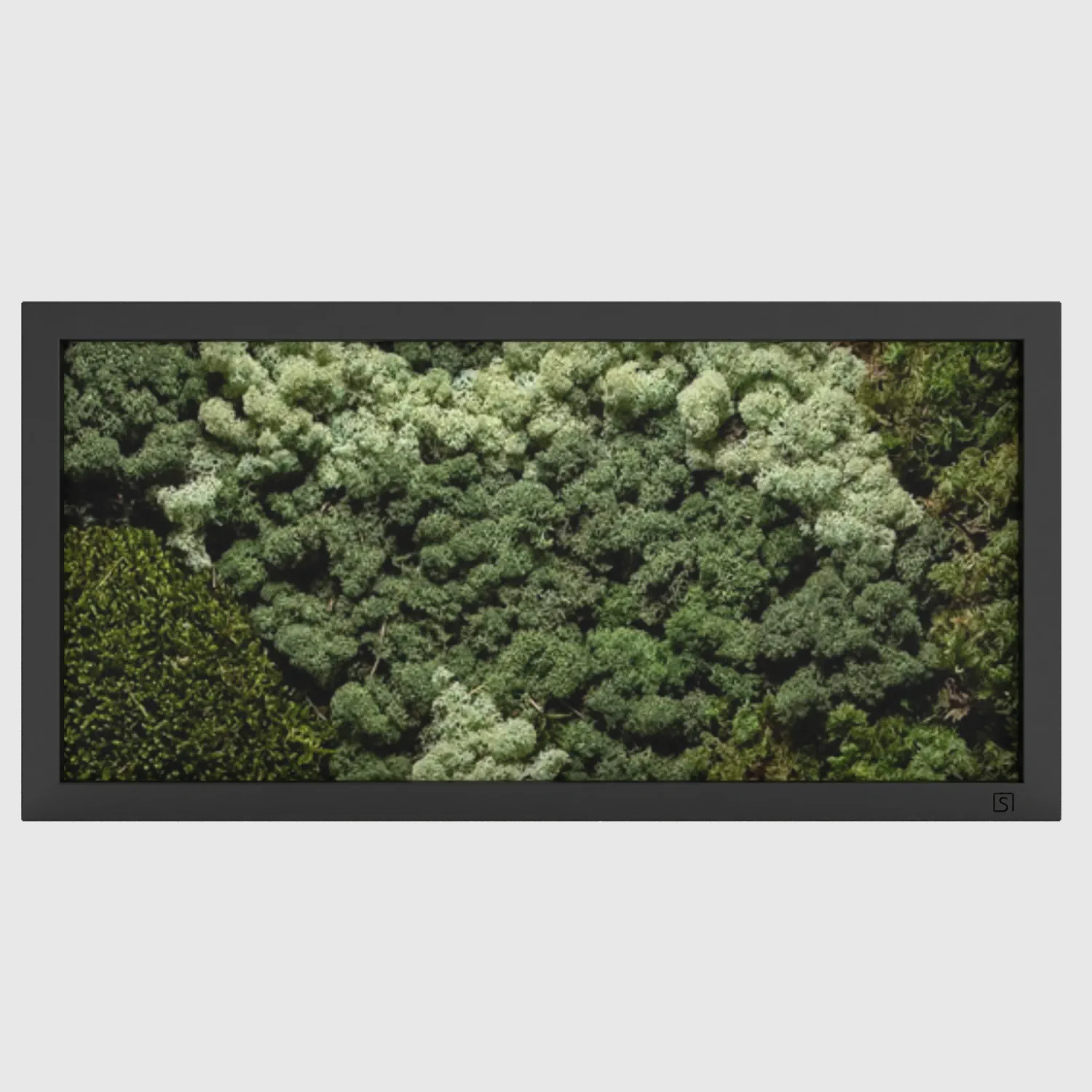 Moosbild Landschaft schwarz