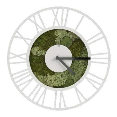 Mos Horloge Biesbos