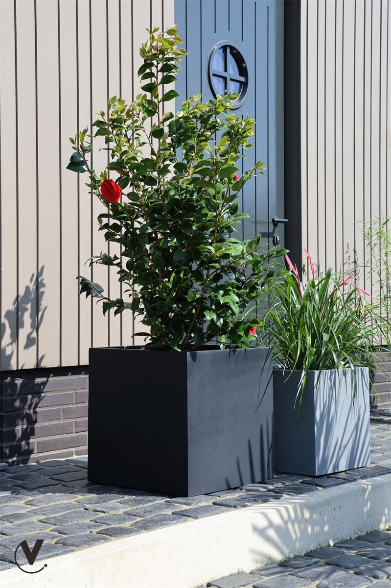 Pot El Salvador M L50 x B50 x H50 cm Black 2