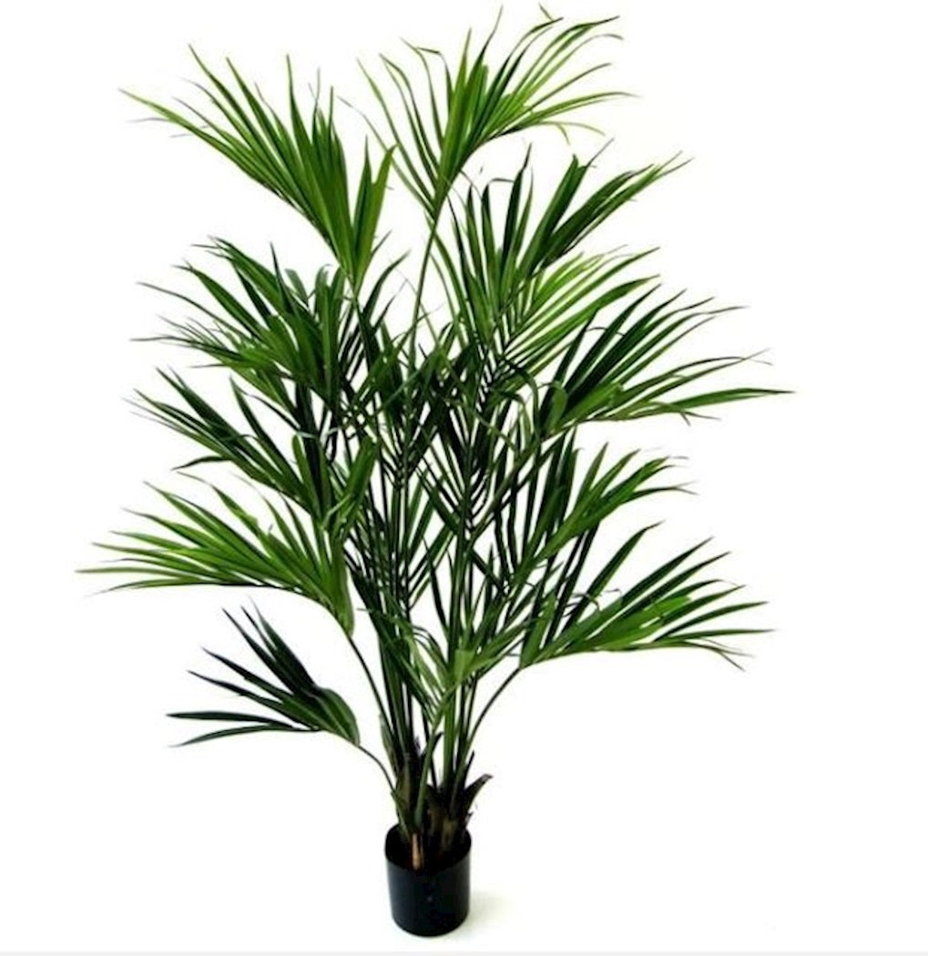 Kunstplant Kentiapalm green H190 cm - te bestellen via info@vasetheworld.nl (-leeg- H190 cm)