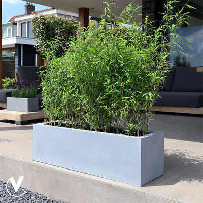 Pot Amazone L grey L100 x B30 x H30 cm  (Grey L100 x B30 x H30 cm)