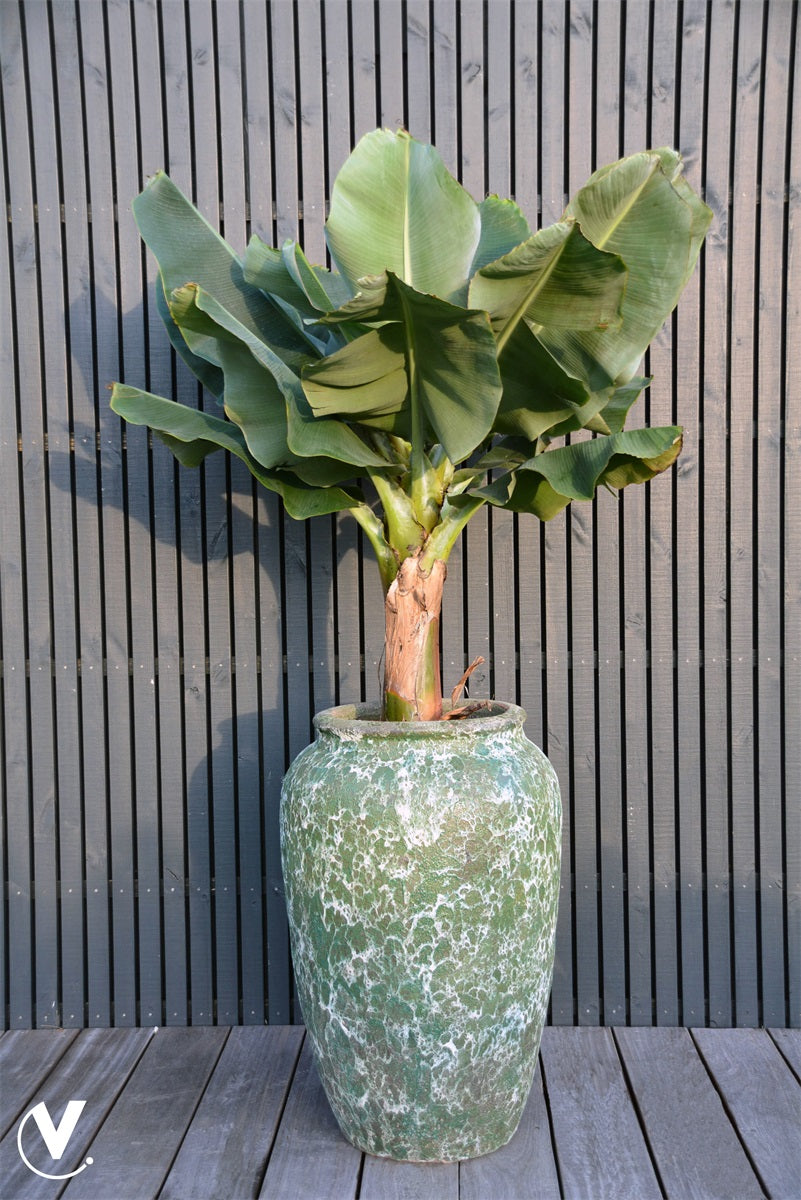 Pot Ambang XXL oceanic coral Ø62 x H95 cm (Oceanic Coral Ø62 x H95 cm)