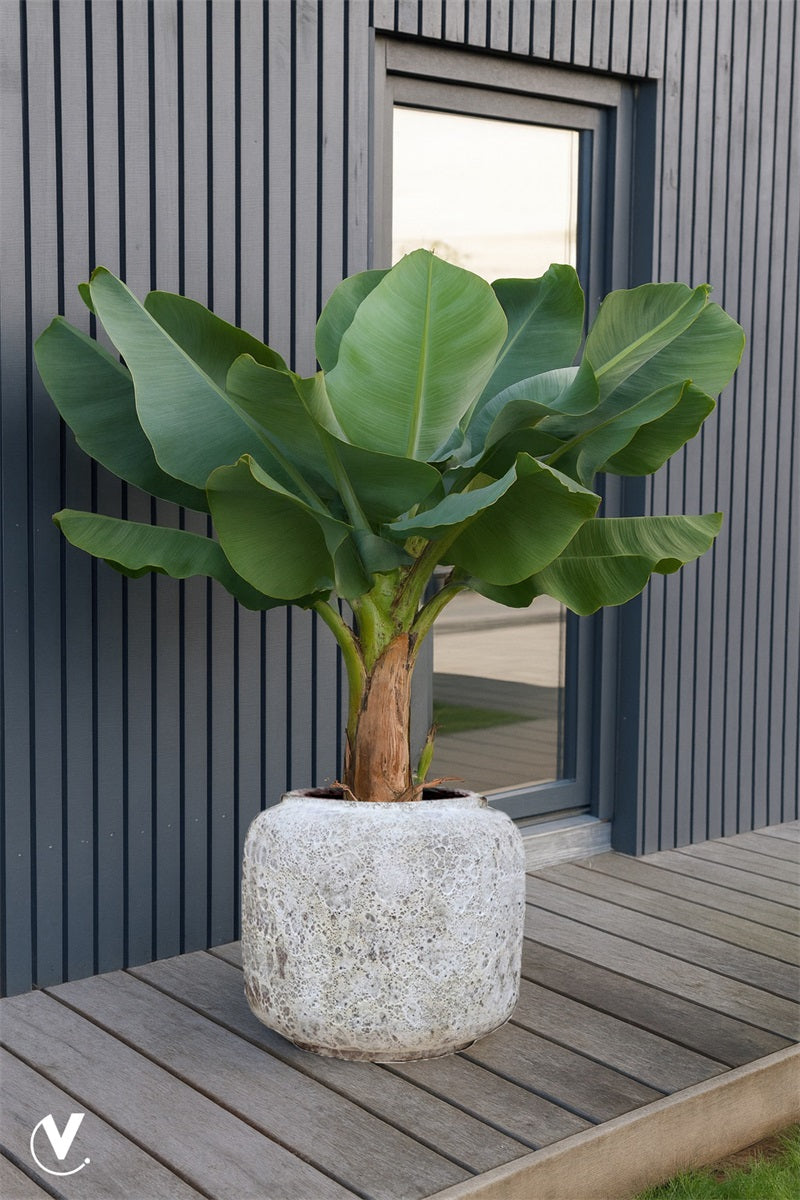 Pot Arenal relic beige Ø59 x H50 cm (Relic Beige Ø59 x H50 cm)