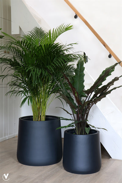 Pot Portland S black Ø42 x H40 cm  (Black Ø42 x H40 cm)