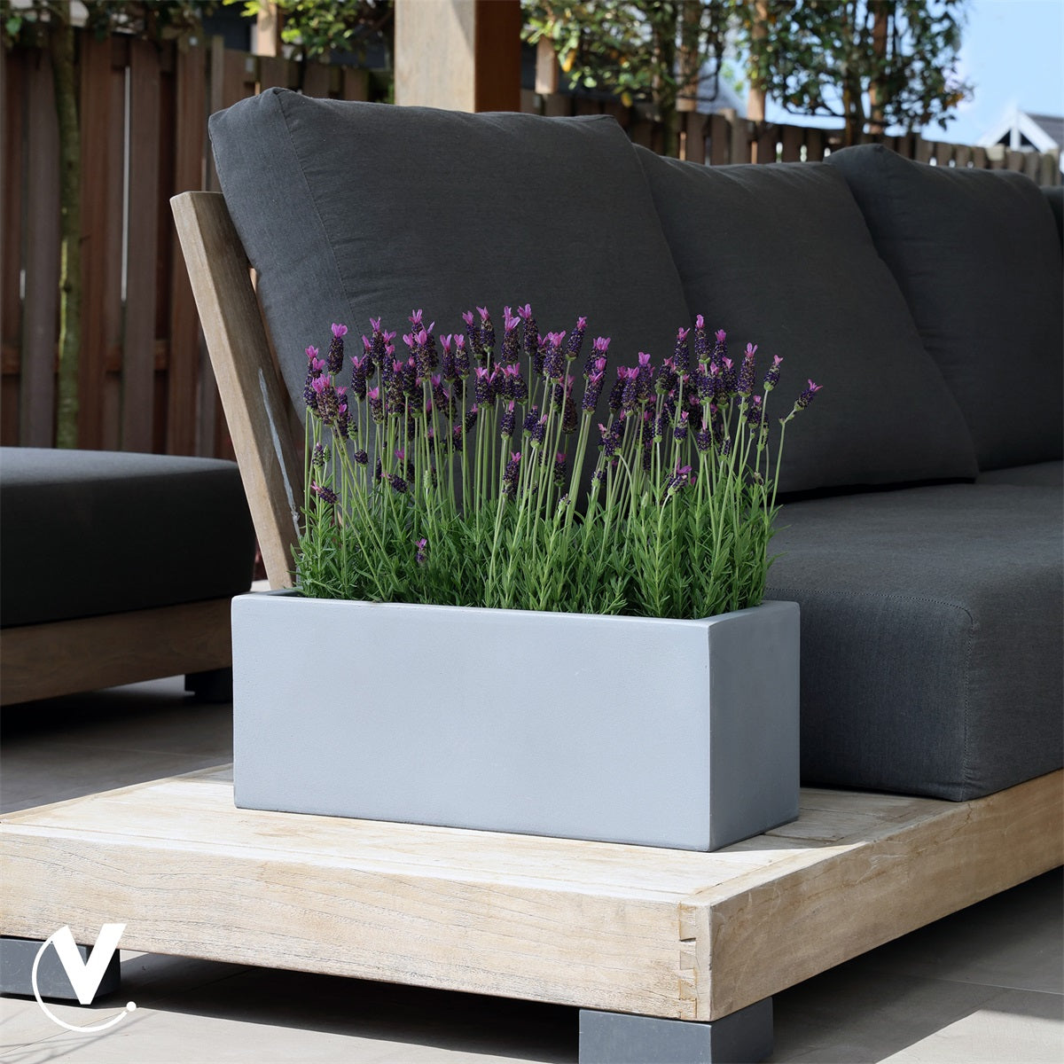 Pot Virginia S grey L50 x B20 x H20 cm 2 stuks  (Grey L50 x B20 x H20 cm)