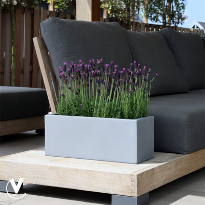 Pot Virginia S grey L50 x B20 x H20 cm 2 stuks  (Grey L50 x B20 x H20 cm)