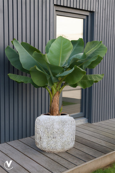 Pot Arenal Relic beige